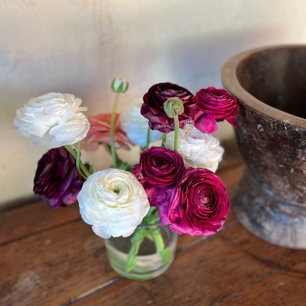 Meet your Posher, Joyce